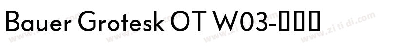 Bauer Grotesk OT W03字体转换